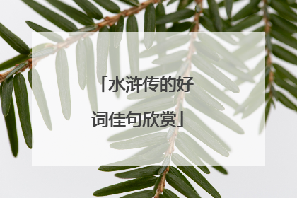 水浒传的好词佳句欣赏
