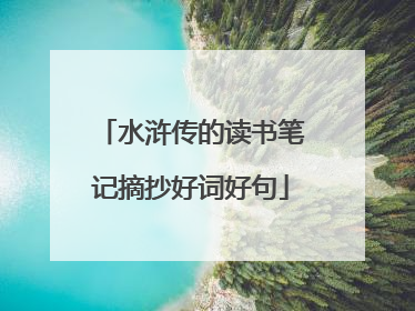 水浒传的读书笔记摘抄好词好句