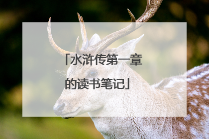 水浒传第一章的读书笔记