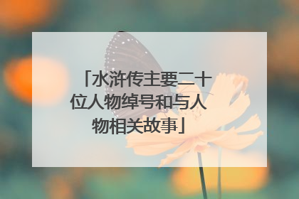 水浒传主要二十位人物绰号和与人物相关故事
