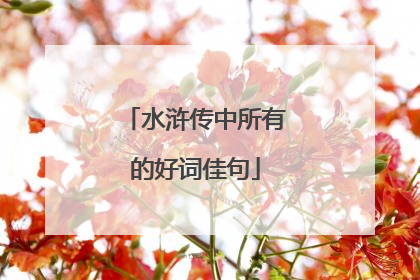 水浒传中所有的好词佳句