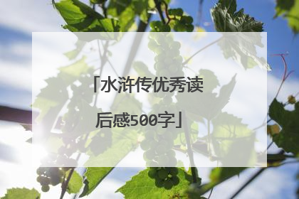 水浒传优秀读后感500字