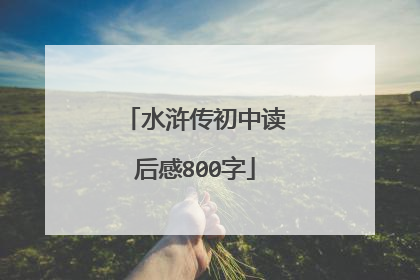 水浒传初中读后感800字