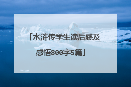 水浒传学生读后感及感悟800字5篇