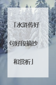 水浒传好句好段摘抄和赏析