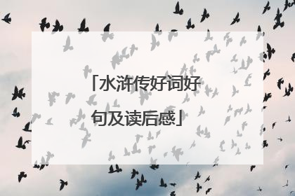 水浒传好词好句及读后感