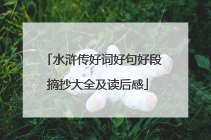 水浒传好词好句好段摘抄大全及读后感