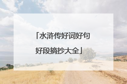 水浒传好词好句好段摘抄大全