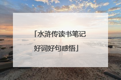 水浒传读书笔记好词好句感悟