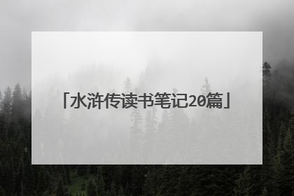 水浒传读书笔记20篇