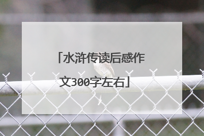 水浒传读后感作文300字左右
