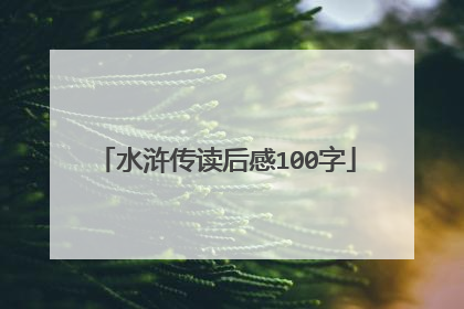 水浒传读后感100字