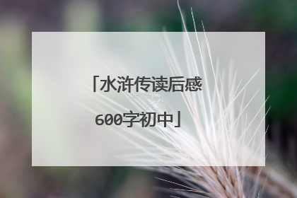 水浒传读后感600字初中