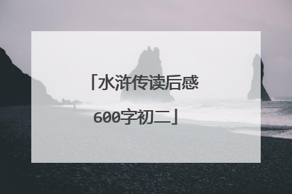 水浒传读后感600字初二