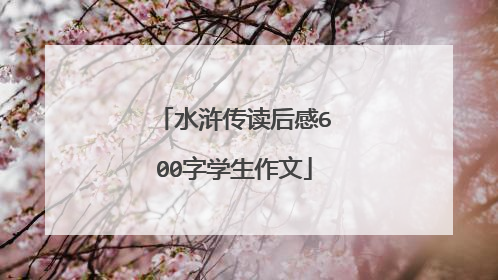 水浒传读后感600字学生作文