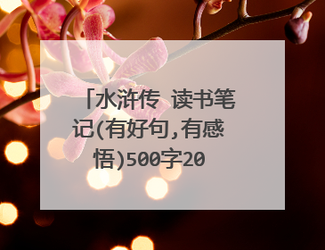 水浒传 读书笔记(有好句,有感悟)500字20篇  谢谢了！