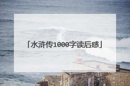 水浒传1000字读后感