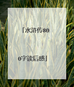 水浒传800字读后感