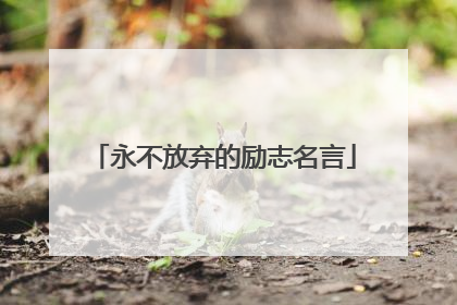 永不放弃的励志名言