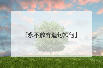 永不放弃造句短句