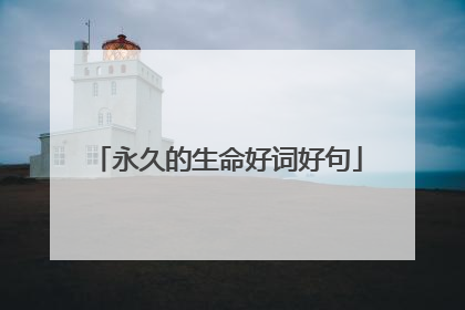 永久的生命好词好句