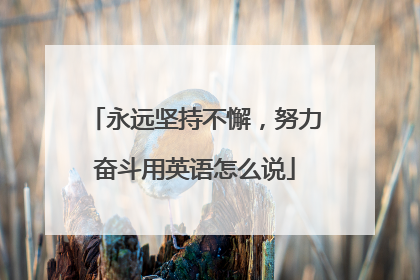 永远坚持不懈，努力奋斗用英语怎么说