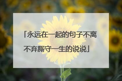 永远在一起的句子不离不弃厮守一生的说说