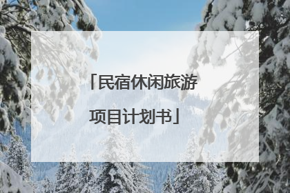 民宿休闲旅游项目计划书