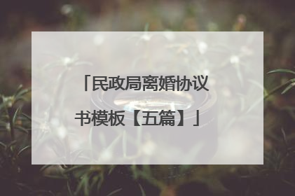 民政局离婚协议书模板【五篇】