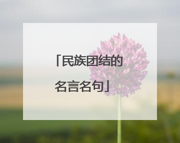 民族团结的名言名句