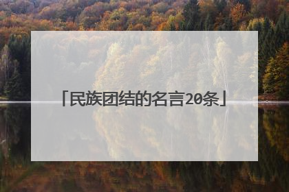 民族团结的名言20条