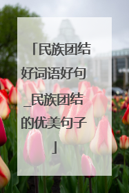 民族团结好词语好句_民族团结的优美句子