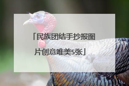 民族团结手抄报图片创意唯美5张