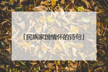 民族家国情怀的诗句