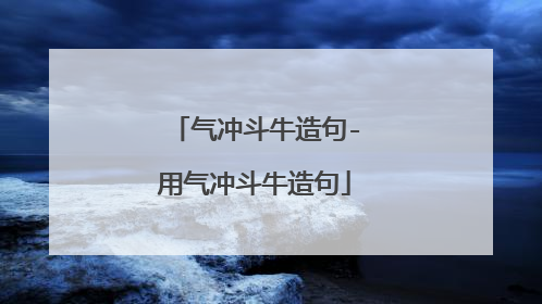 气冲斗牛造句-用气冲斗牛造句