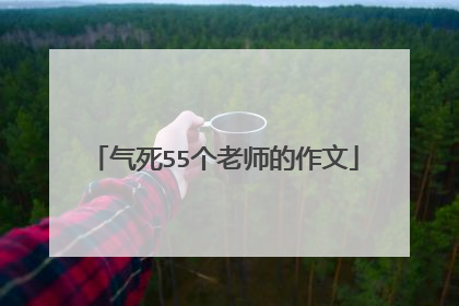 气死55个老师的作文