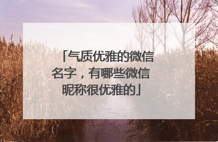 气质优雅的微信名字，有哪些微信昵称很优雅的