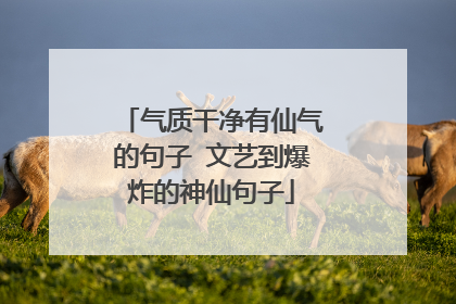 气质干净有仙气的句子 文艺到爆炸的神仙句子