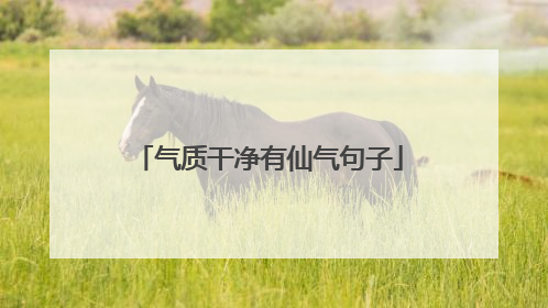 气质干净有仙气句子