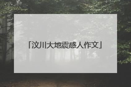 汶川大地震感人作文