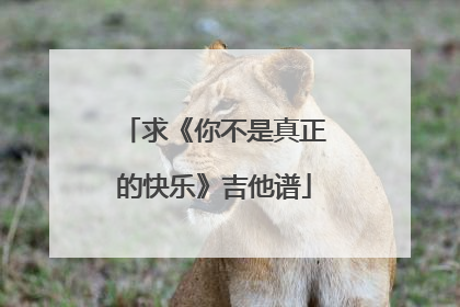 求《你不是真正的快乐》吉他谱