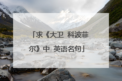 求《大卫 科波菲尔》中 英语名句