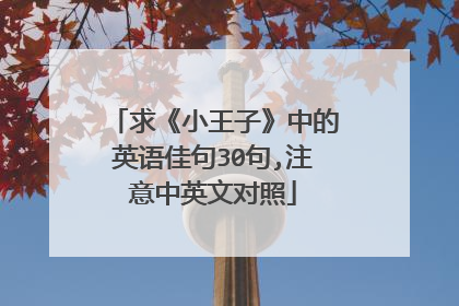 求《小王子》中的英语佳句30句,注意中英文对照