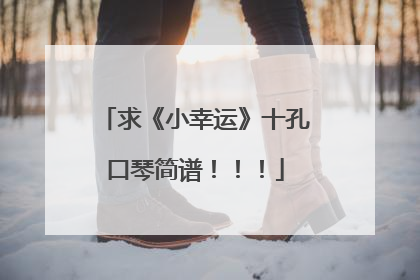 求《小幸运》十孔口琴简谱!!!