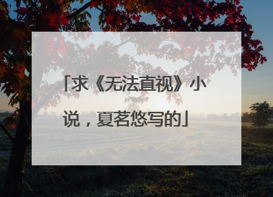 求《无法直视》小说，夏茗悠写的