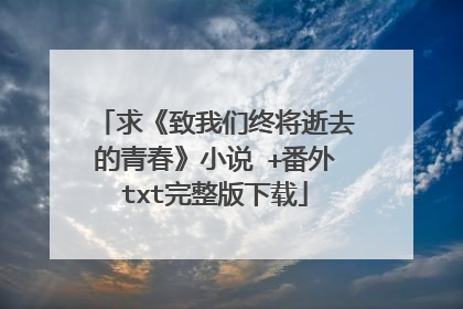 求《致我们终将逝去的青春》小说 +番外txt完整版下载