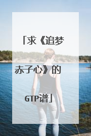 求《追梦赤子心》的GTP谱