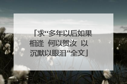 求“多年以后如果相逢 何以贺汝 以沉默以眼泪”全文