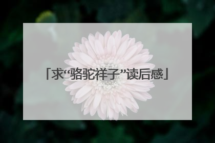 求“骆驼祥子”读后感