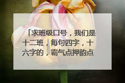 求班级口号，我们是十二班，每句四字，十六字的，霸气点押韵点···急求····